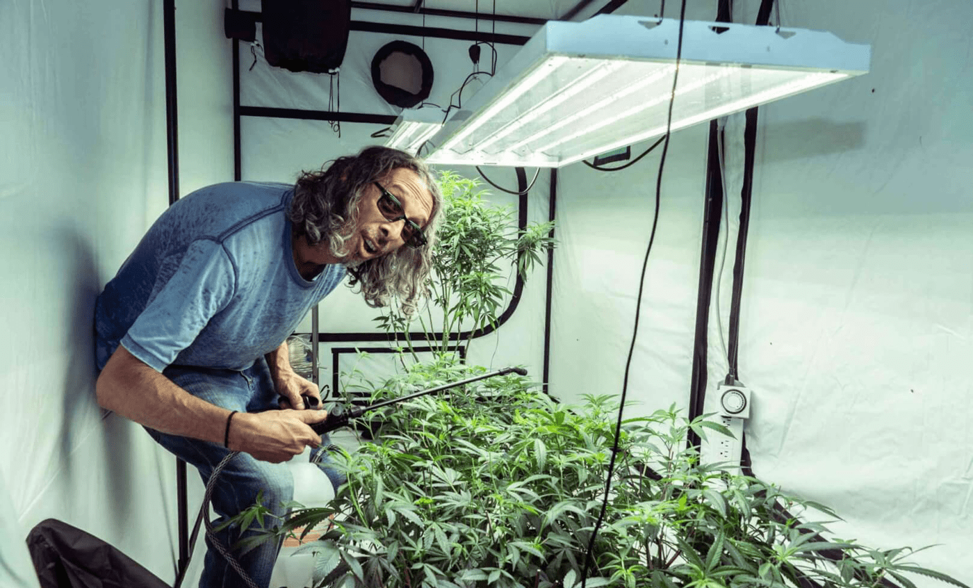 Kyle Kushman Watering Plants In Grow Tent Setup Scaled 1